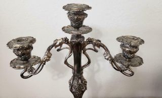 Antique Barbour S.  P.  Co.  Silver Plate Grape Candelabra Silver - plate Art Nouveau 4