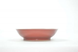 A Very Rare Chinese Copper - Red Porcelain Dish 4