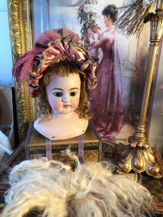 Gorgeous Antique German Simon Halbig 1040 Doll Head W/original Wig