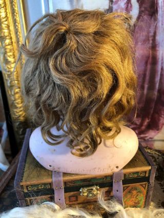 Gorgeous Antique German Simon Halbig 1040 Doll Head w/Original Wig 3