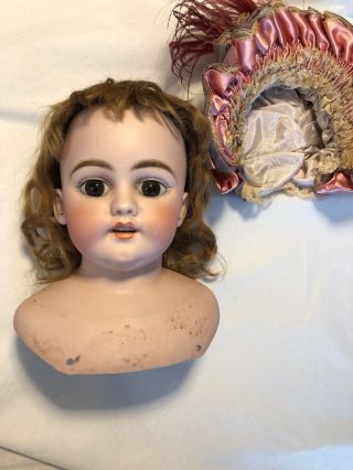 Gorgeous Antique German Simon Halbig 1040 Doll Head w/Original Wig 6