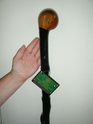 Authentic Irish Blackthorn Walking Stick / Shillelagh / Fantastic.