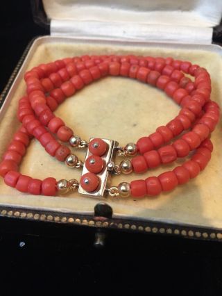 Georgian Or Early Victorian 14k Gold Layered Clasp Red Salmon Coral Bracelet
