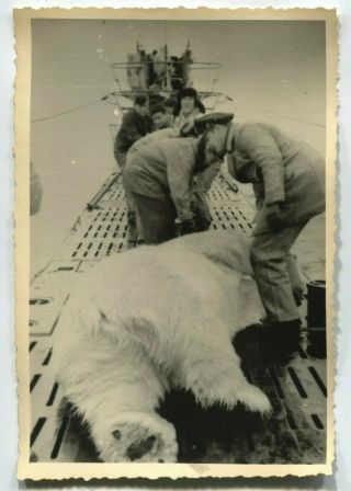 Ww2 Archived Photo Kriegsmarine Sailors With U Boat In Arctic With Trophy