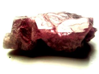 26.  60ct.  Rough Diamond Red Violet Facet Grade Transparent - Rare Untreated