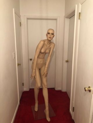 Vintage Rootstein Mannequin
