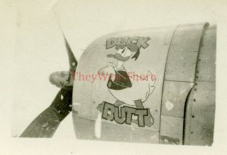 Wwii Photo - P 47 Thunderbolt Fighter Plane Nose Art - Duck Butt