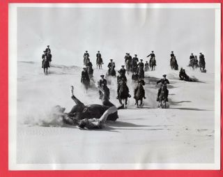 1943 Uscg Mounted Coast Guard Beach Patrol Cavalry 7x9 News Photo