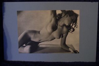 Vintage Photo Sexy Lana Turner Museum Find Rare Beguiling Beauteous
