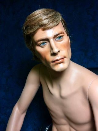 HINDSGAUL Mannequin Male Man w/ Hard Cap Wig Sitting Full Natural Realistic Vtg 3