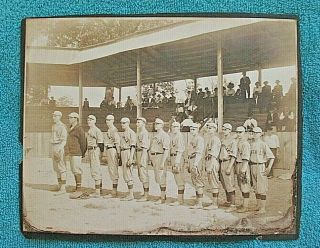 Antique Baseball Team Photo Louisville Colonels? Kentucky Fans In Stands