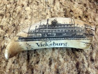 Vintage Scrimshaw Faux Resin Sperm Whale Tooth 