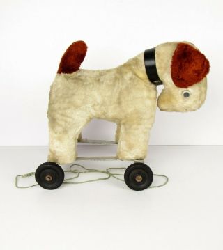 Vintage Plush Wire Hair Fox Terrier Dog Antique Pull Toy On Wheels 2