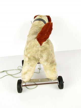 Vintage Plush Wire Hair Fox Terrier Dog Antique Pull Toy On Wheels 4