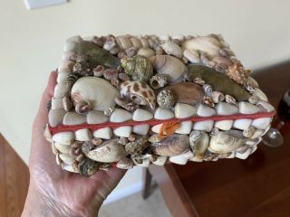 Antique Vtg Sailor Sea Shell Tramp Folk Art Trinket Jewelry Or Sewing Box