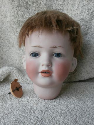 Rare Character Face 141 Antique Bisque Doll Head 10 1/4 " Circumference German ?