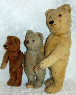 3 Adorable Vintage/old Steiff Jointed Teddy Bear Glass Eyes