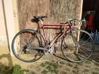 Vintage Rare Moser Pro 51.  151 Cromovelato Bicycle Columbus Ofmega Campagnolo 51
