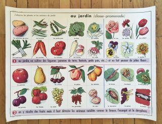 Vintage French School " In The Garden " Poster And Botanical Print