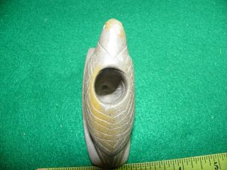 Extremely Rare Hopewell Bird Effigy Platform Pipe Indian Artifacts / Arrowheads 4