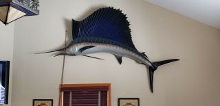 Vintage X - Large Sailfish Taxidermy Marlin Swordfish Billfish.  For Local Pick Up