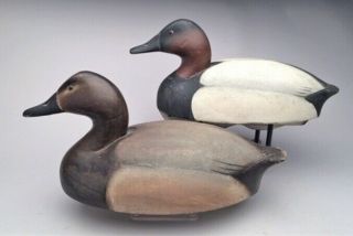 Wildfowler Canvasback Lem Ward 2