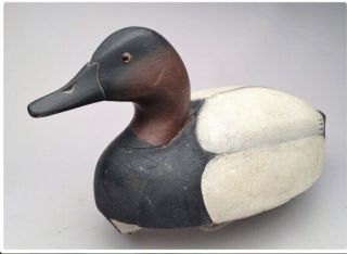 Wildfowler Canvasback Lem Ward 5