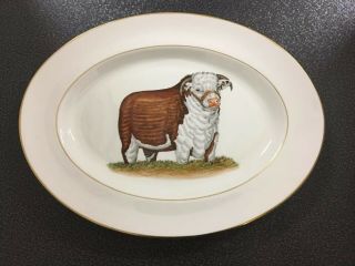 Vintage Abercrombie & Fitch Vosmansky Hereford Bull 15” Serving Platter