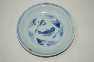 Ming Dynasty 15th Century Blue And White Plate With Fish Motif
