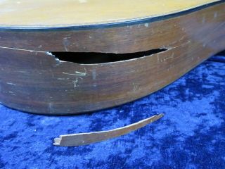 .  Vintage Regal Instruments Octofone Mandolin Ser isi7459 - 17 for Parts/Repair 2
