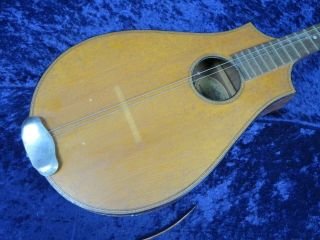 .  Vintage Regal Instruments Octofone Mandolin Ser isi7459 - 17 for Parts/Repair 3