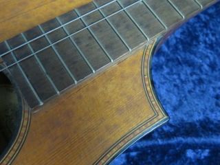 .  Vintage Regal Instruments Octofone Mandolin Ser isi7459 - 17 for Parts/Repair 8