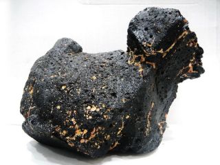 5.  38kg,  Big Rare Australasian Muong Nong Tektite (meteorite) 0003816