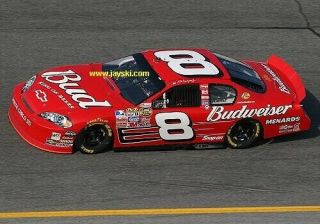 Nascar Race Sheetmetal Dale Earnhardt Jr DEI Budweiser Decklid Very Rare 3