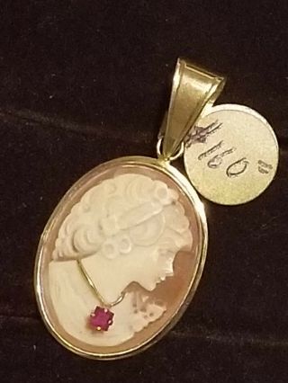 14k Yellow Gold Pendent W/shell Cameo 25 X 20mm W/ruby Necklace