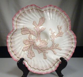 1883 Tiffany & Co Brownfields China Pink Oyster Plate - 56960