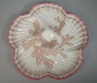 1883 Tiffany & Co Brownfields China Pink Oyster Plate - 56960 2