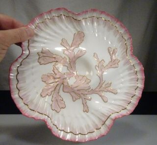 1883 Tiffany & Co Brownfields China Pink Oyster Plate - 56960 3