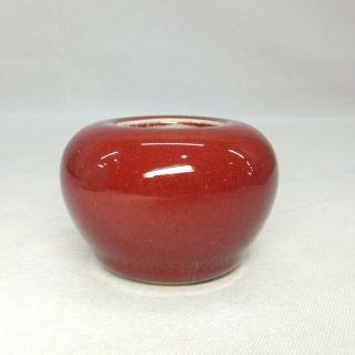 F904: Chinese Suiu Water Pot Of Porcelain Of Cinnabar Glaze Shinsha