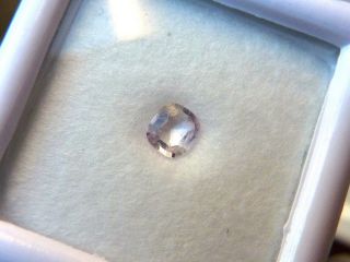 Poudretteite 0.  2 Ct Extremely Rare