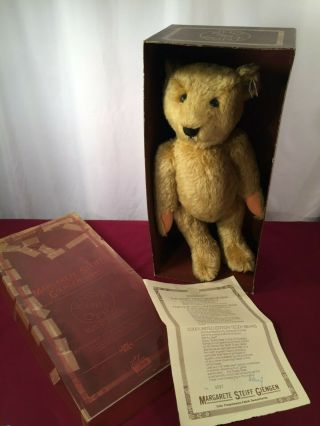 Rare Signed Steiff Teddy Bear Of 1903 Ean 0153/43 Le 4587