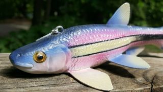 Deluxe Competition Rainbow Shiner Decoy Carved by John Laska - Collector 3