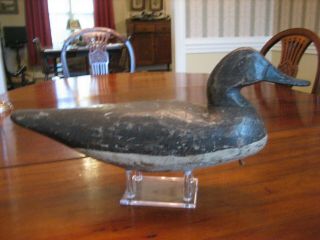 Doug Jester Pintail Hen Duck Decoy,  Chincoteague,  Virginia,  Paint