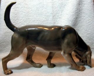 Rare Large Royal Copenhagen Bloodhound Dog Figurine 1341 Marked Jensen C.  1912 3
