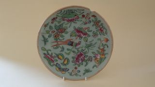 Chinese Cantonese Green Celadon Vintage Victorian Oriental Antique Wall Plate D