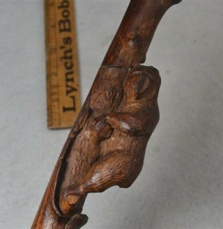 Antique Cane Walking Stick Hand Carved Bear Knobby Wooden Stick 1800