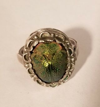 Egyptian Revival Real Scarab Beetle Sterling Silver Ring