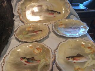 Antique Coronet Limoge Fish Platter Set