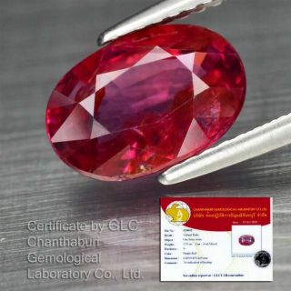 Certificate Inc.  Rare 2.  73ct 9.  8x6.  8mm Oval Natural Unheated Untreated Red Ruby
