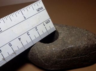 Rare Cucuteni - Trypillian Stone Axe Hammer Tool Head 5000 - 3000 BC 98 8